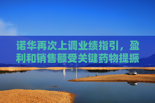 诺华再次上调业绩指引，盈利和销售额受关键药物提振超出市场预期
