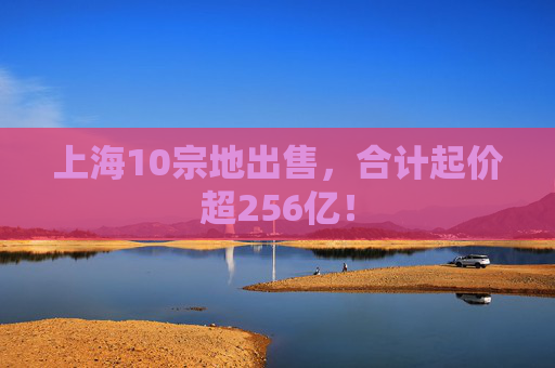 上海10宗地出售，合计起价超256亿！