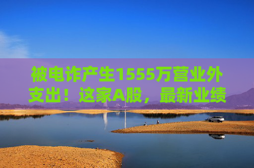 被电诈产生1555万营业外支出！这家A股，最新业绩出炉！