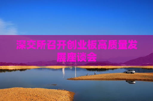 深交所召开创业板高质量发展座谈会