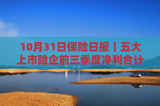 10月31日保险日报丨五大上市险企前三季度净利合计超3190亿，国内首家批发保险经纪公司来了