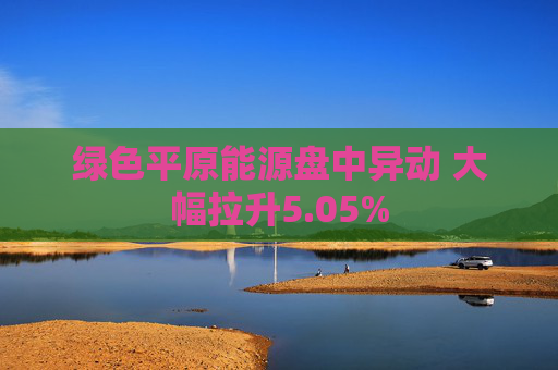 绿色平原能源盘中异动 大幅拉升5.05%