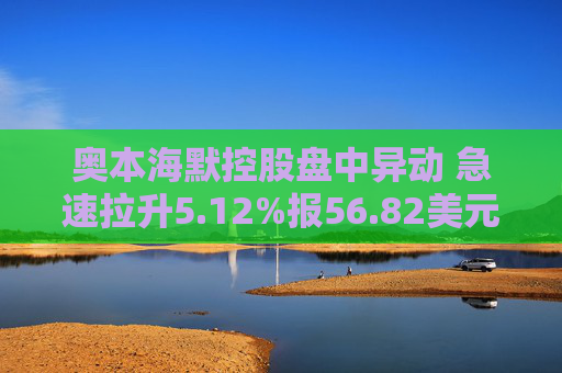 奥本海默控股盘中异动 急速拉升5.12%报56.82美元