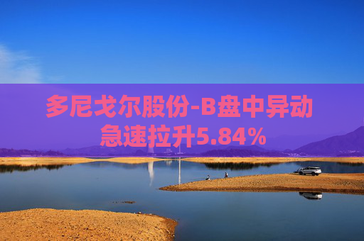 多尼戈尔股份-B盘中异动 急速拉升5.84%
