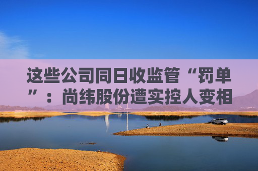 这些公司同日收监管“罚单”：尚纬股份遭实控人变相占用，国华网安、ST特信内控不到位
