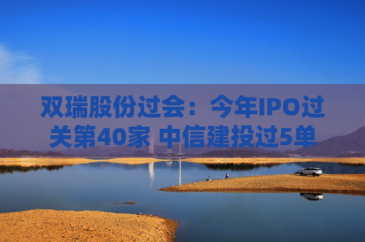 双瑞股份过会：今年IPO过关第40家 中信建投过5单