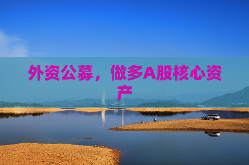 外资公募，做多A股核心资产