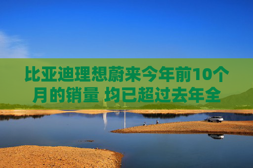 比亚迪理想蔚来今年前10个月的销量 均已超过去年全年