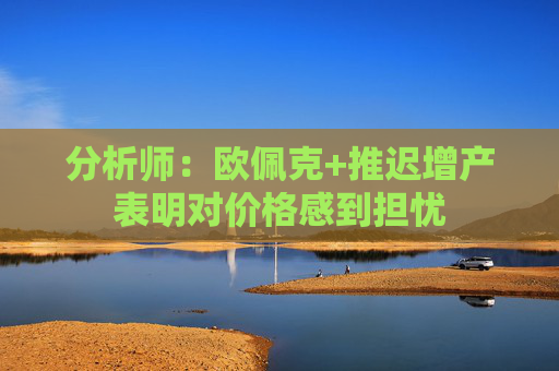 分析师：欧佩克+推迟增产表明对价格感到担忧