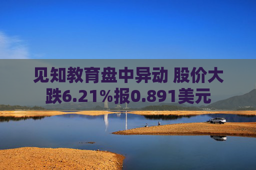 见知教育盘中异动 股价大跌6.21%报0.891美元