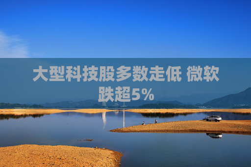 大型科技股多数走低 微软跌超5%