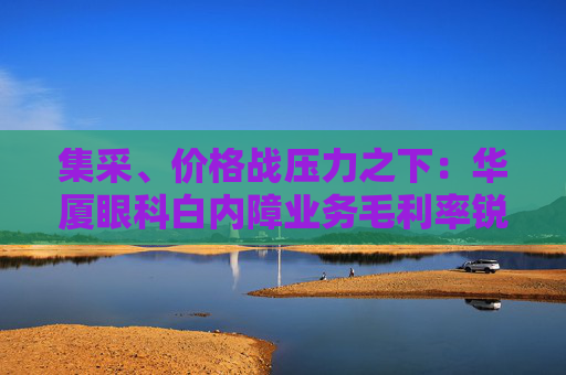 集采、价格战压力之下：华厦眼科白内障业务毛利率锐减 普瑞眼科、何氏眼科净利润遭脚踝斩