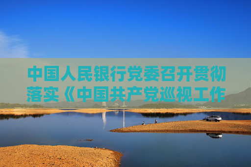 中国人民银行党委召开贯彻落实《中国共产党巡视工作条例》暨内部巡视工作动员部署会