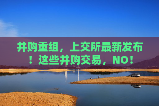 并购重组，上交所最新发布！这些并购交易，NO！