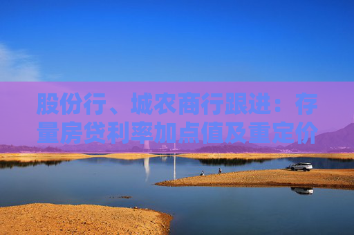 股份行、城农商行跟进：存量房贷利率加点值及重定价周期调整 专家预计新发房贷利率将跟进下调