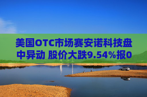 美国OTC市场赛安诺科技盘中异动 股价大跌9.54%报0.570美元