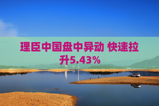 理臣中国盘中异动 快速拉升5.43%