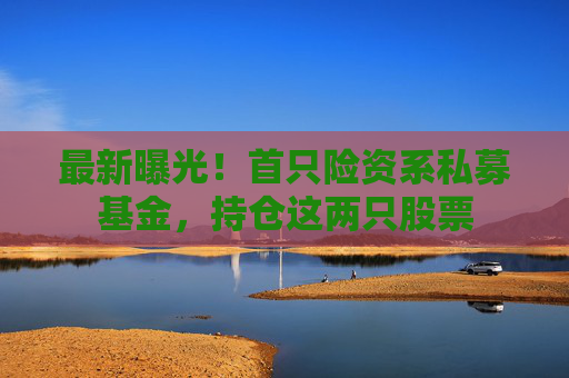 最新曝光！首只险资系私募基金，持仓这两只股票
