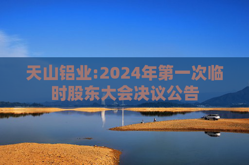 天山铝业:2024年第一次临时股东大会决议公告