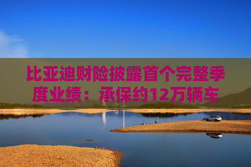 比亚迪财险披露首个完整季度业绩：承保约12万辆车 直销渠道能否降本增效？