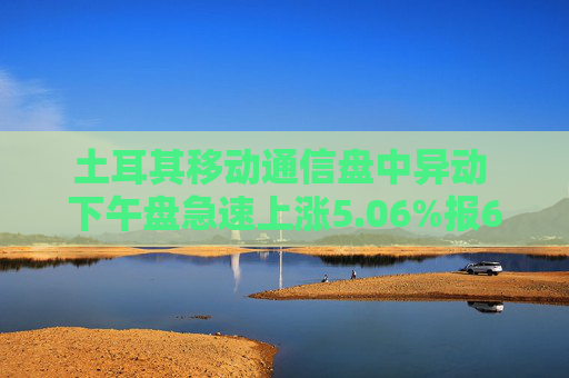 土耳其移动通信盘中异动 下午盘急速上涨5.06%报6.44美元