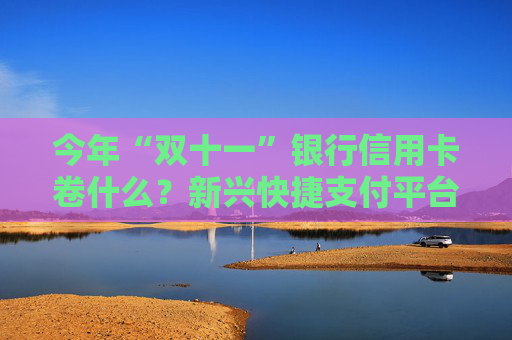 今年“双十一”银行信用卡卷什么？新兴快捷支付平台成为新“战场” 存量时代下沉深耕细分领域