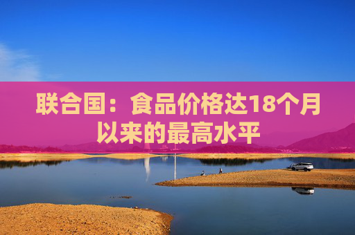 联合国：食品价格达18个月以来的最高水平