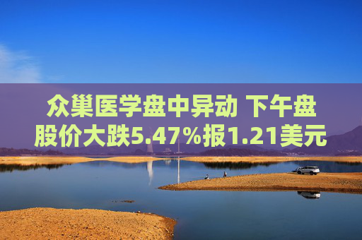 众巢医学盘中异动 下午盘股价大跌5.47%报1.21美元