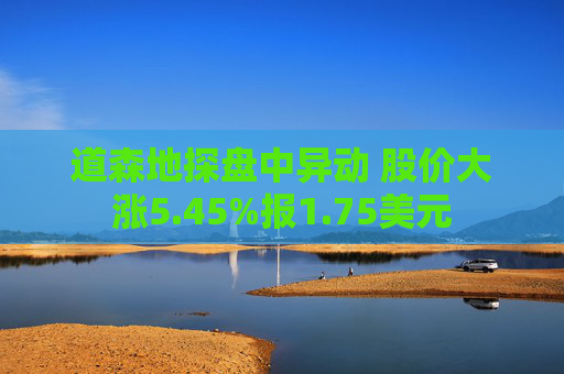 道森地探盘中异动 股价大涨5.45%报1.75美元