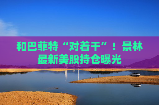 和巴菲特“对着干”！景林最新美股持仓曝光