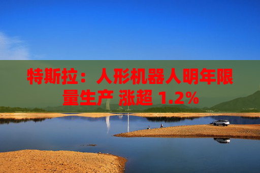 特斯拉：人形机器人明年限量生产 涨超 1.2%