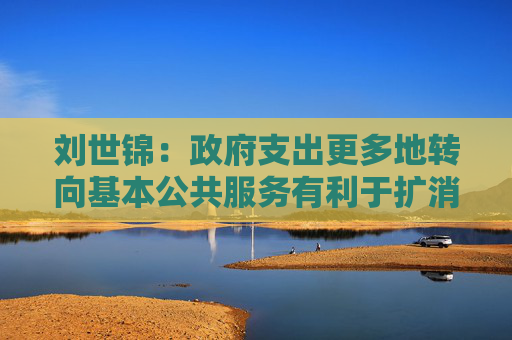刘世锦：政府支出更多地转向基本公共服务有利于扩消费、稳增长