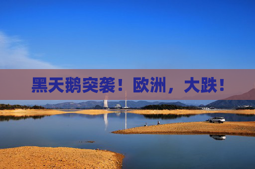 黑天鹅突袭！欧洲，大跌！