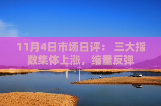 11月4日市场日评： 三大指数集体上涨，缩量反弹