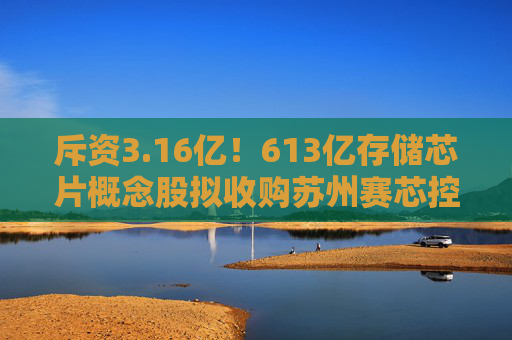 斥资3.16亿！613亿存储芯片概念股拟收购苏州赛芯控股权