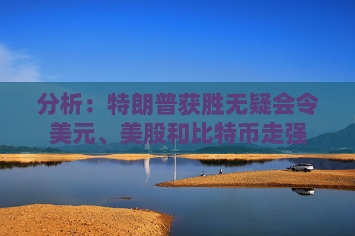分析：特朗普获胜无疑会令美元、美股和比特币走强