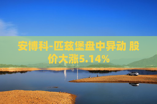 安博科-匹兹堡盘中异动 股价大涨5.14%