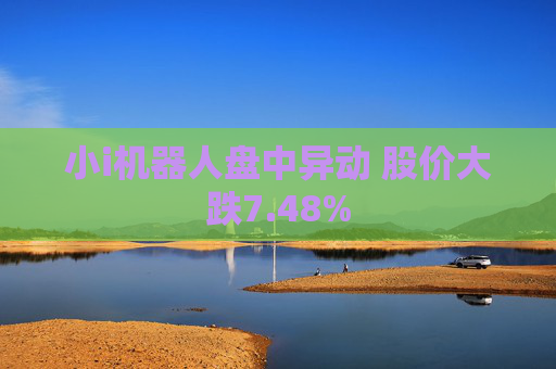 小i机器人盘中异动 股价大跌7.48%