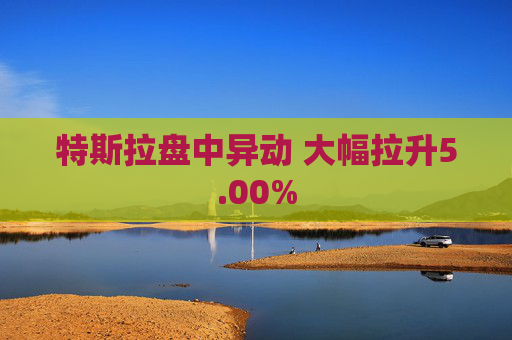 特斯拉盘中异动 大幅拉升5.00%