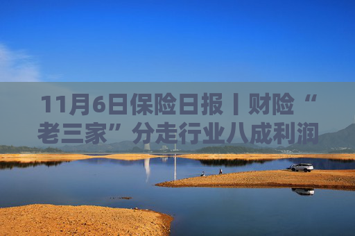 11月6日保险日报丨财险“老三家”分走行业八成利润，75家人身险公司前三季度净赚超2800亿