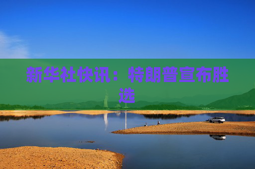 新华社快讯：特朗普宣布胜选