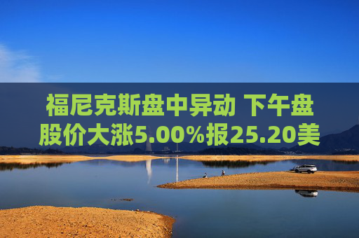福尼克斯盘中异动 下午盘股价大涨5.00%报25.20美元