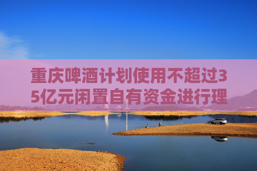 重庆啤酒计划使用不超过35亿元闲置自有资金进行理财