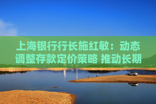 上海银行行长施红敏：动态调整存款定价策略 推动长期限存款向中短期转化