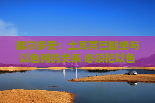 埃尔多安：土耳其已断绝与以色列的关系 必须把以色列逼到墙角