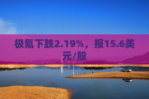 极氪下跌2.19%，报15.6美元/股