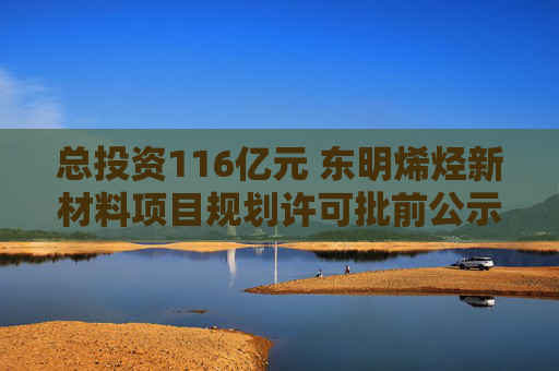 总投资116亿元 东明烯烃新材料项目规划许可批前公示