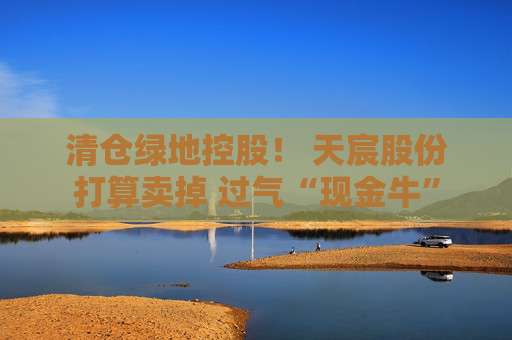 清仓绿地控股！ 天宸股份打算卖掉 过气“现金牛”