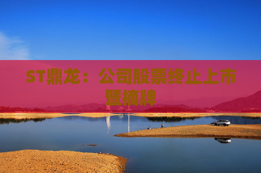 ST鼎龙：公司股票终止上市暨摘牌
