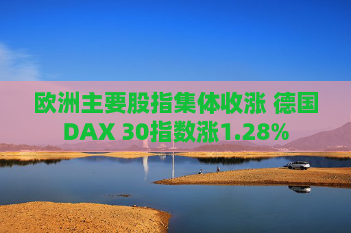 欧洲主要股指集体收涨 德国DAX 30指数涨1.28%